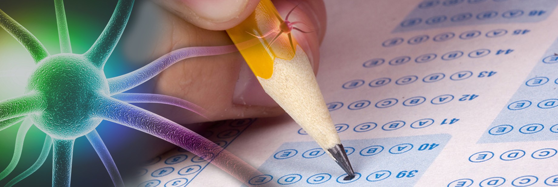 4b-Neurocognitive-Associates-Adult-Testing